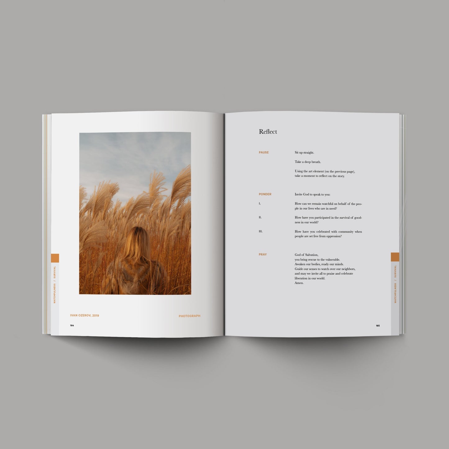 The Good and Beautiful Bible Study Upsell