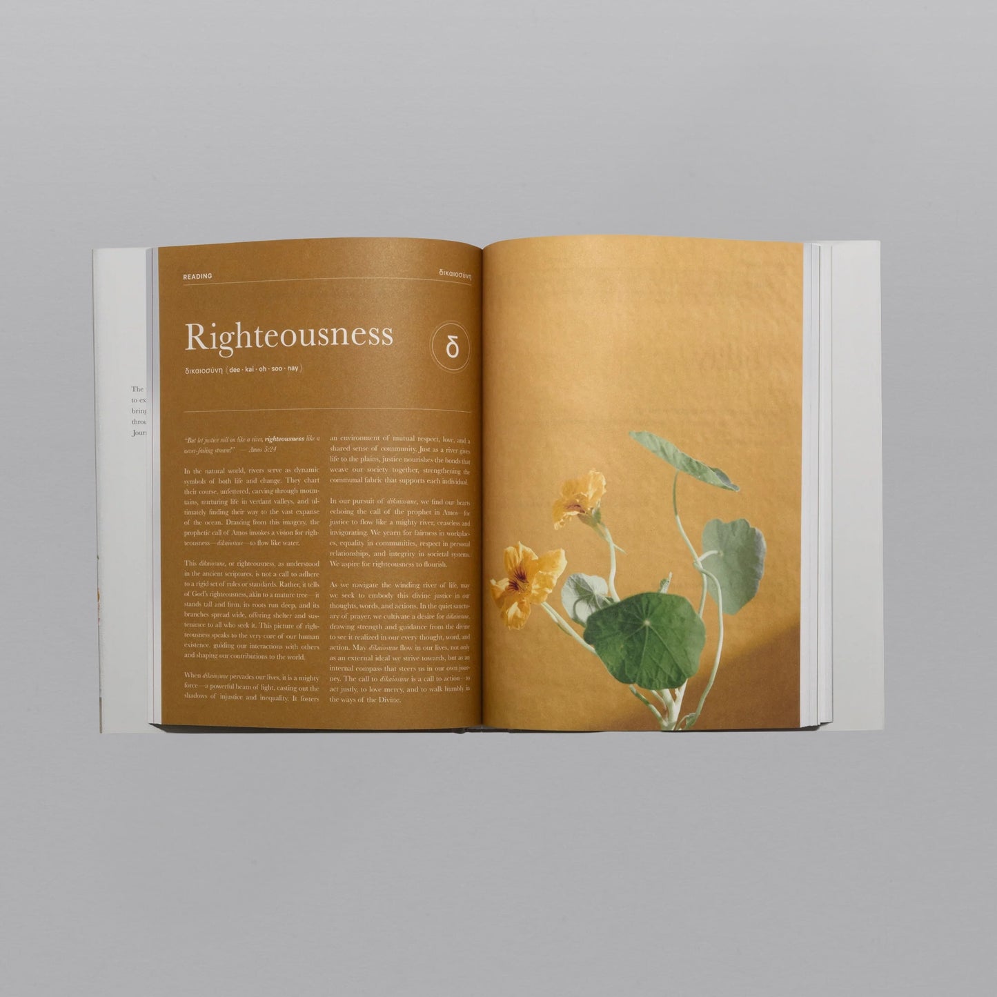The Prayer Journal