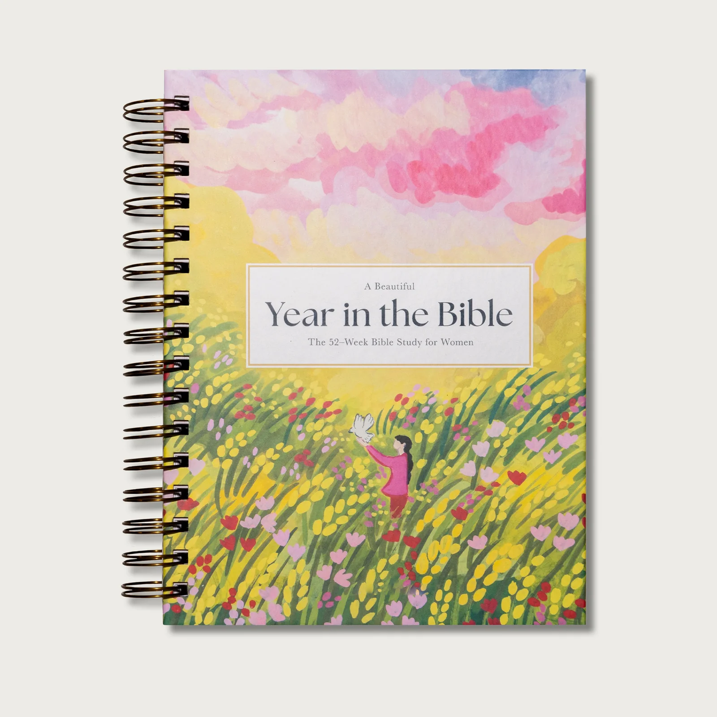 ...A Beautiful Year in the Bible Study