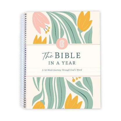The Bible In A Year: 52-Week Study (Christmas)