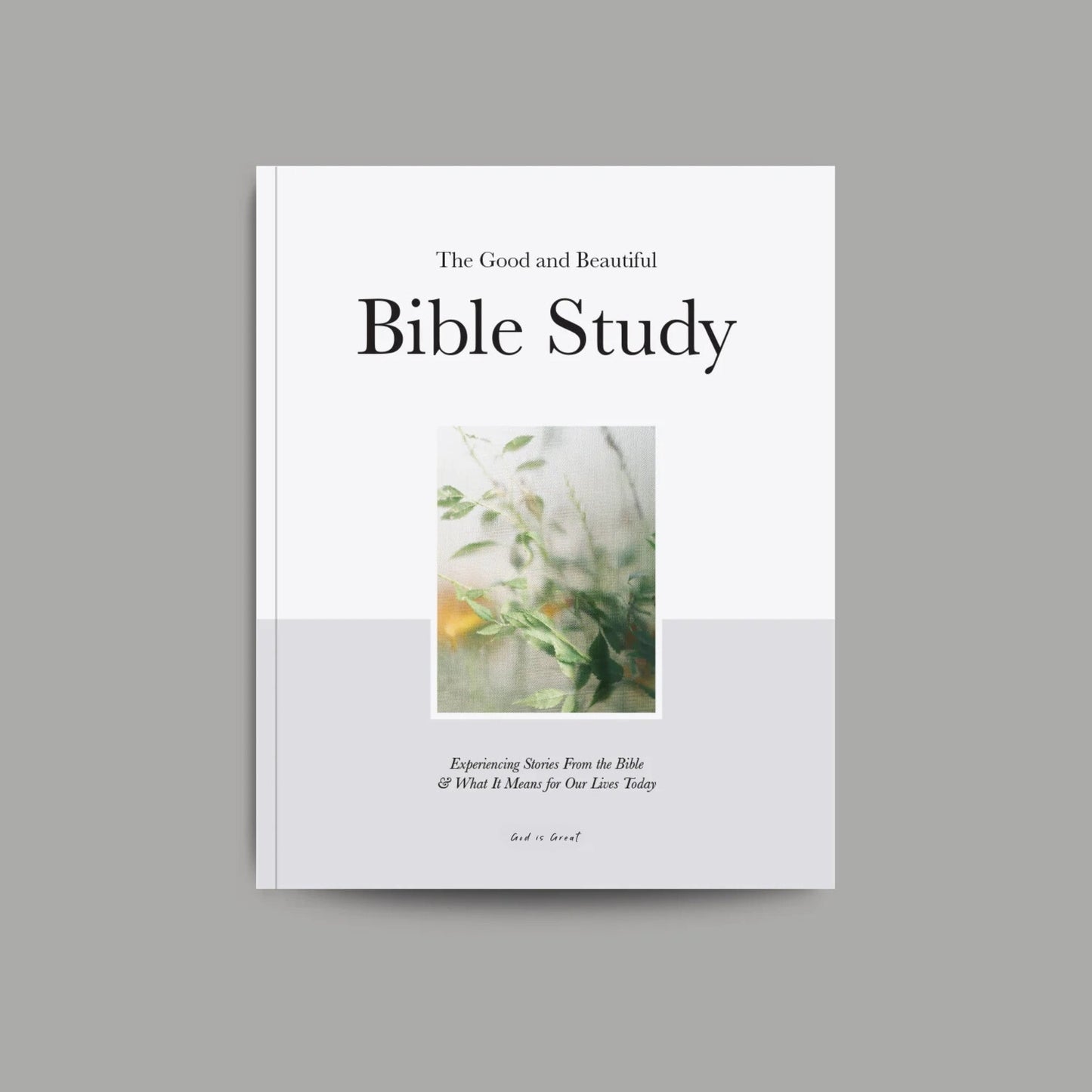 The Good and Beautiful Bible Study (Black Friday)